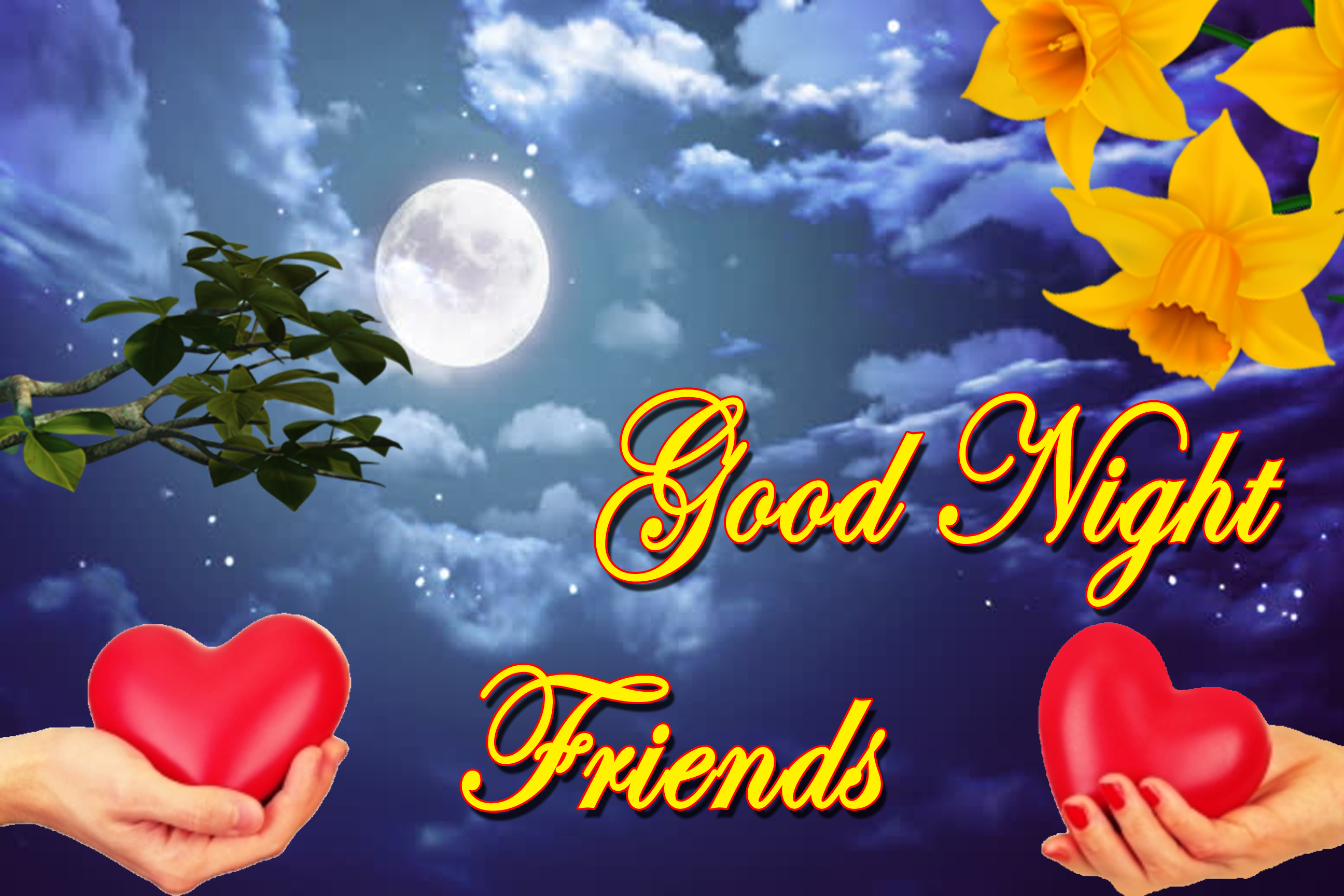 good night friends