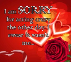 Best I Am Sorry Images Download For Whatsapp » Cute Pictures | Photo Media