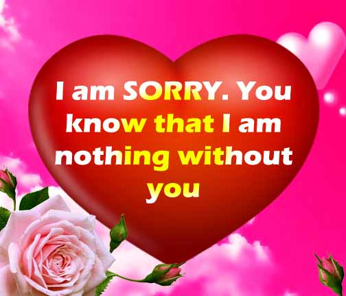 i am so sorry quotes