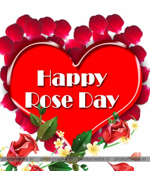 7 feb rose day images 7 feb rose day images