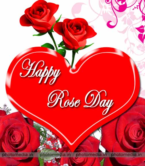 happy rose day image happy rose day image
