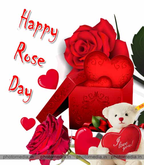 image of rose day image of rose day