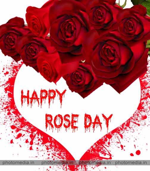 rose day images for girlfriend rose day images for girlfriend