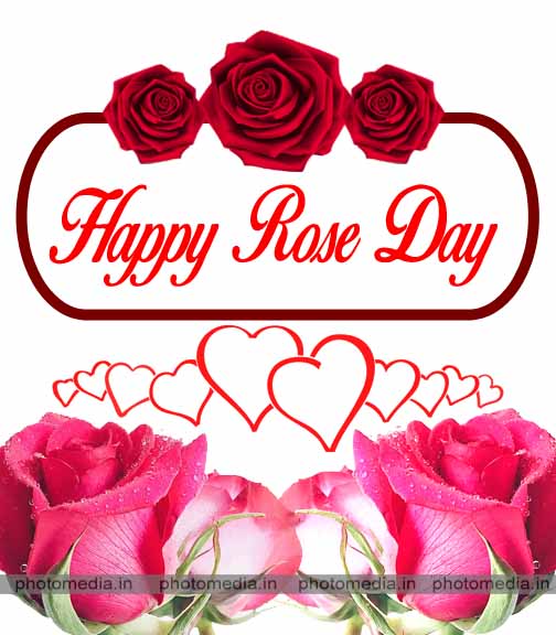 rose day photo 2020 rose day photo 2020