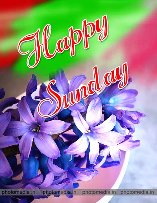 happy sunday images for whatsapp