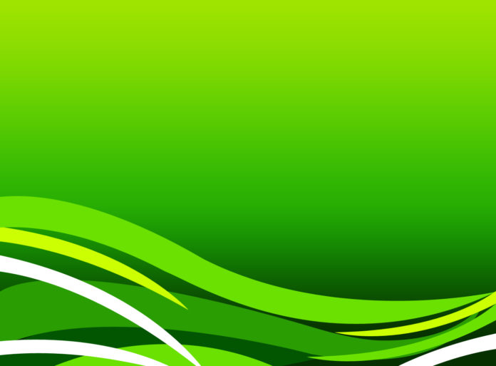 Full HD Green Background 2023 » Page 4 Of 10 » Cute Pictures | Photo Media