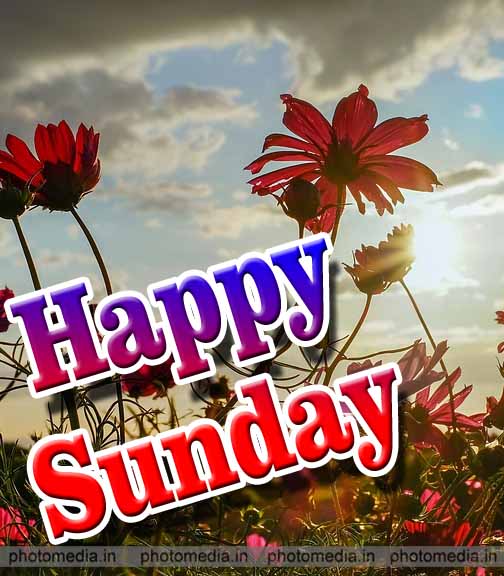 2023 Sunday Blessings Images ▷ Good Morning Blessed Sunday