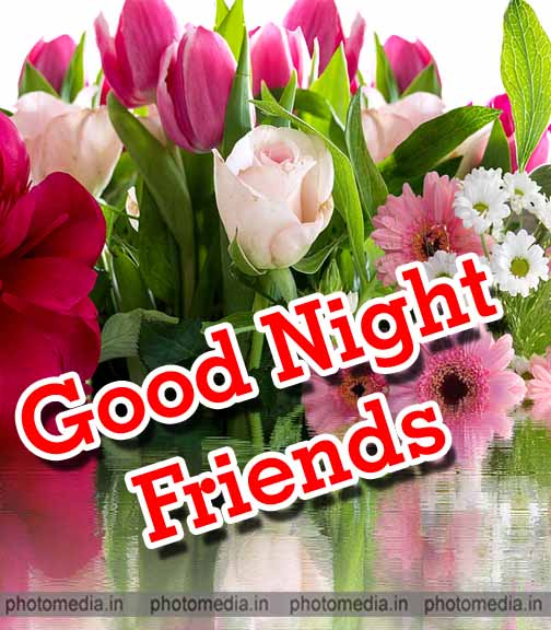 Good Night Image For Friend » Cute Pictures | Photo Media