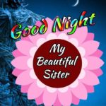 good night sister wishes