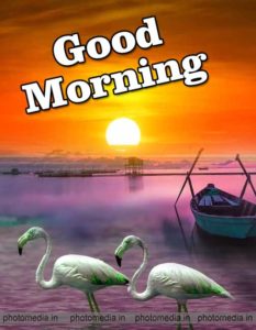 Good Morning Have A Nice Day Image » Cute Pictures | Photo Media