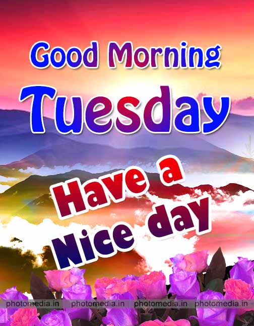 good morning tuesday wishes