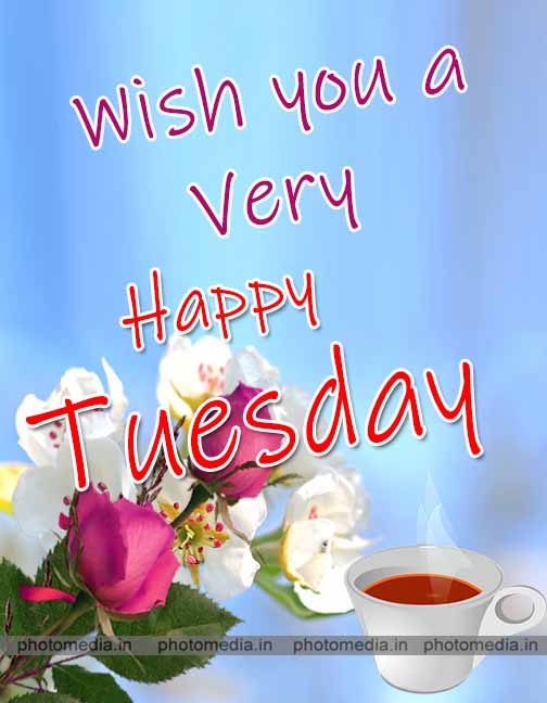 happy tuesday image for whatsapp