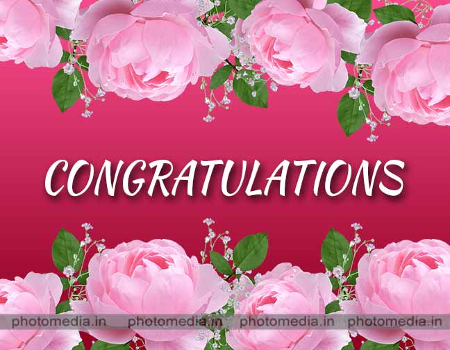 congratulations image with rose