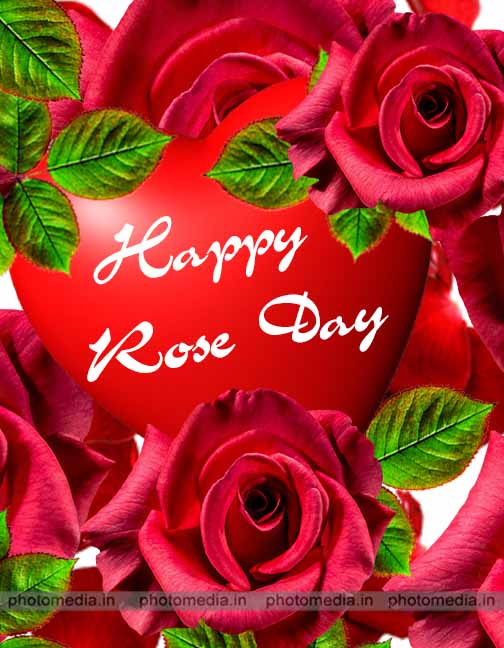 happy rose day 2021 happy rose day 2021