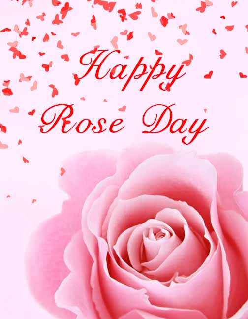 happy rose day image with pink rose happy rose day image with pink rose