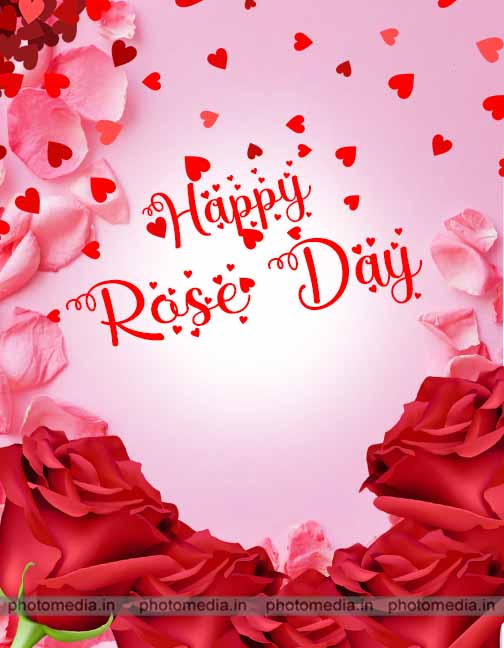 new rose day pic new rose day pic