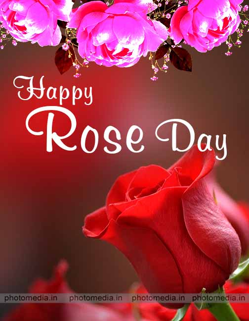 rose day 2021 picture rose day 2021 picture