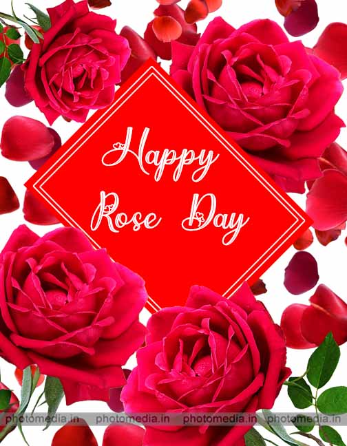 rose day image with red rose rose day image with red rose