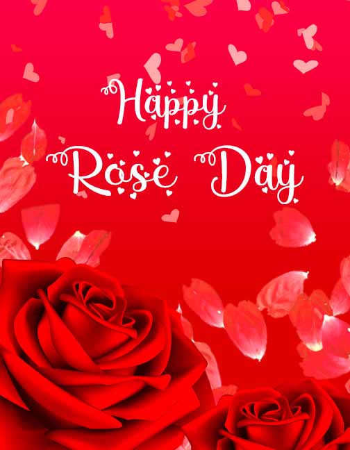 rose day photo 2021 rose day photo 2021