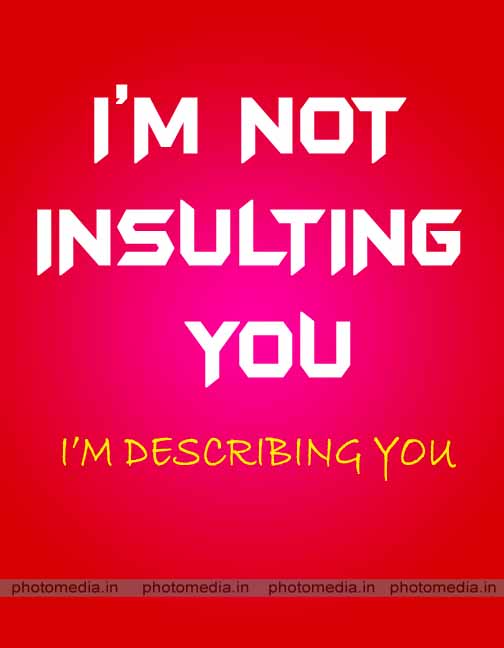 i am not insulting you