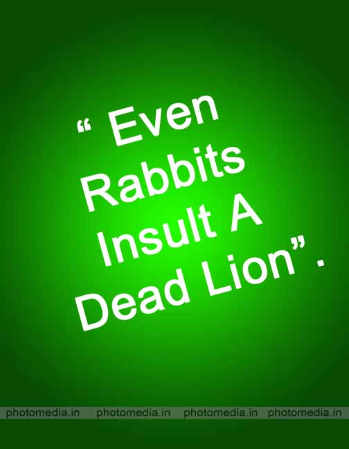 insult a dead lion quote