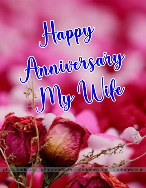 happy anniversary my wife