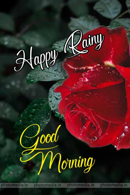 Happy Rainy Day Good Morning