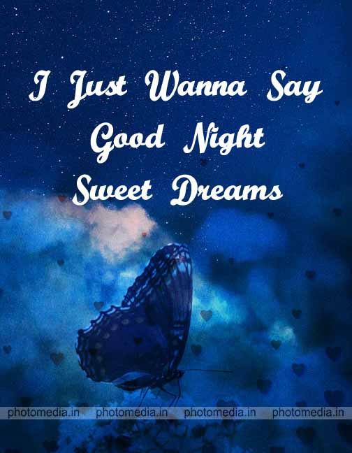 I Just Wanna Say sweet dream