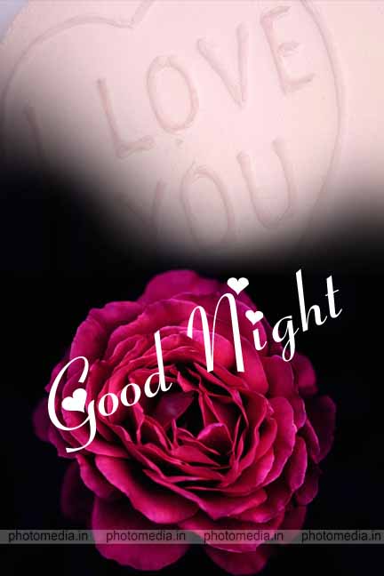 Love You Good Night