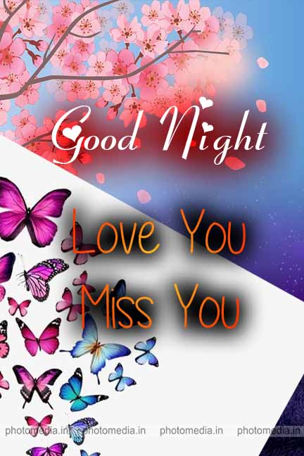 good night love you miss you