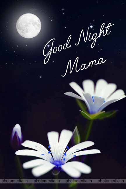 good night mama