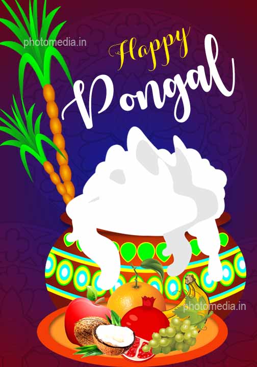happy pongal wishes 2022