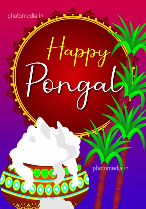 pongal festival image 2022