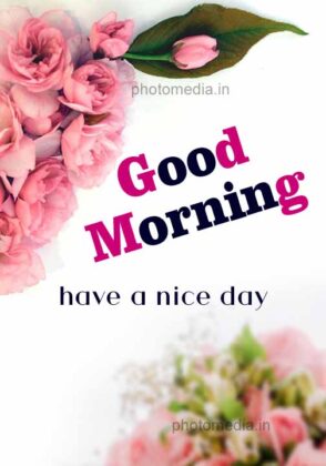 Good Morning Have A Nice Day Image » Cute Pictures | Photo Media