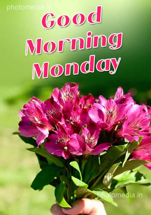Good Morning Monday Image » Cute Pictures | Photo Media