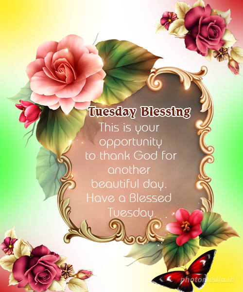 Hello Tuesday, Good Morning. Have A Beautiful Day in 2023  Good morning  tuesday images, Tuesday quotes good morning, Good morning tuesday